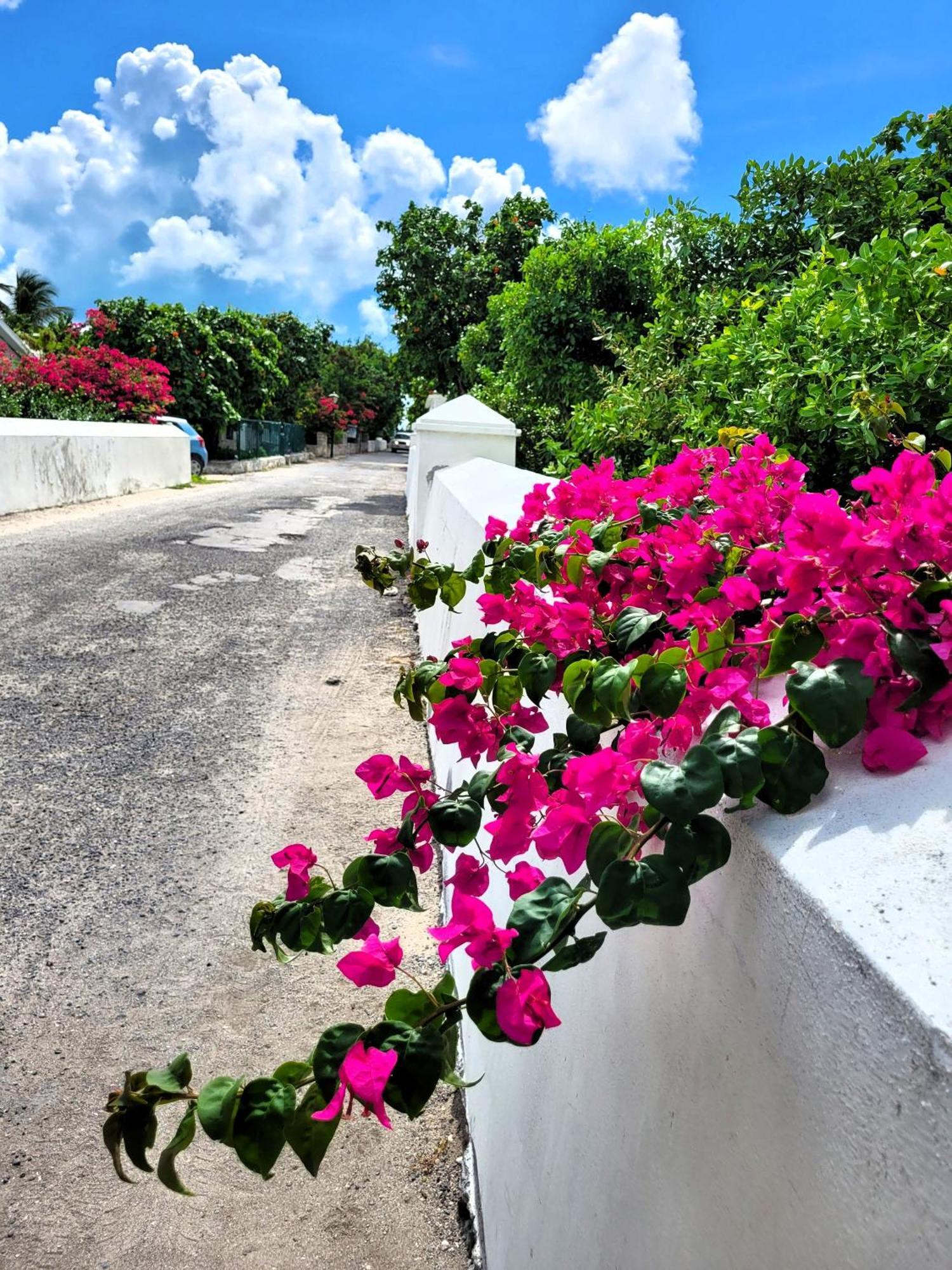 Turks Head Inne Grand Turk Extérieur photo